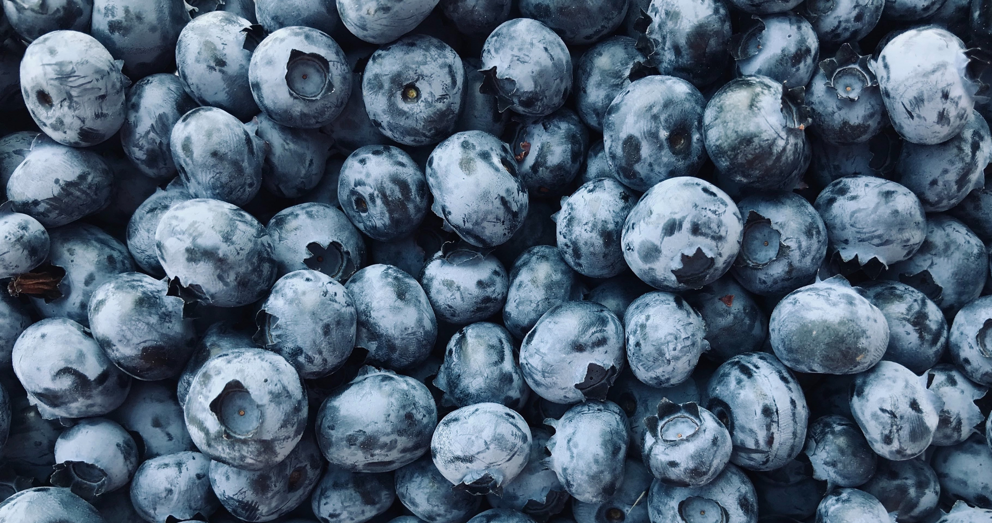 7 Best Foods for Brain Health