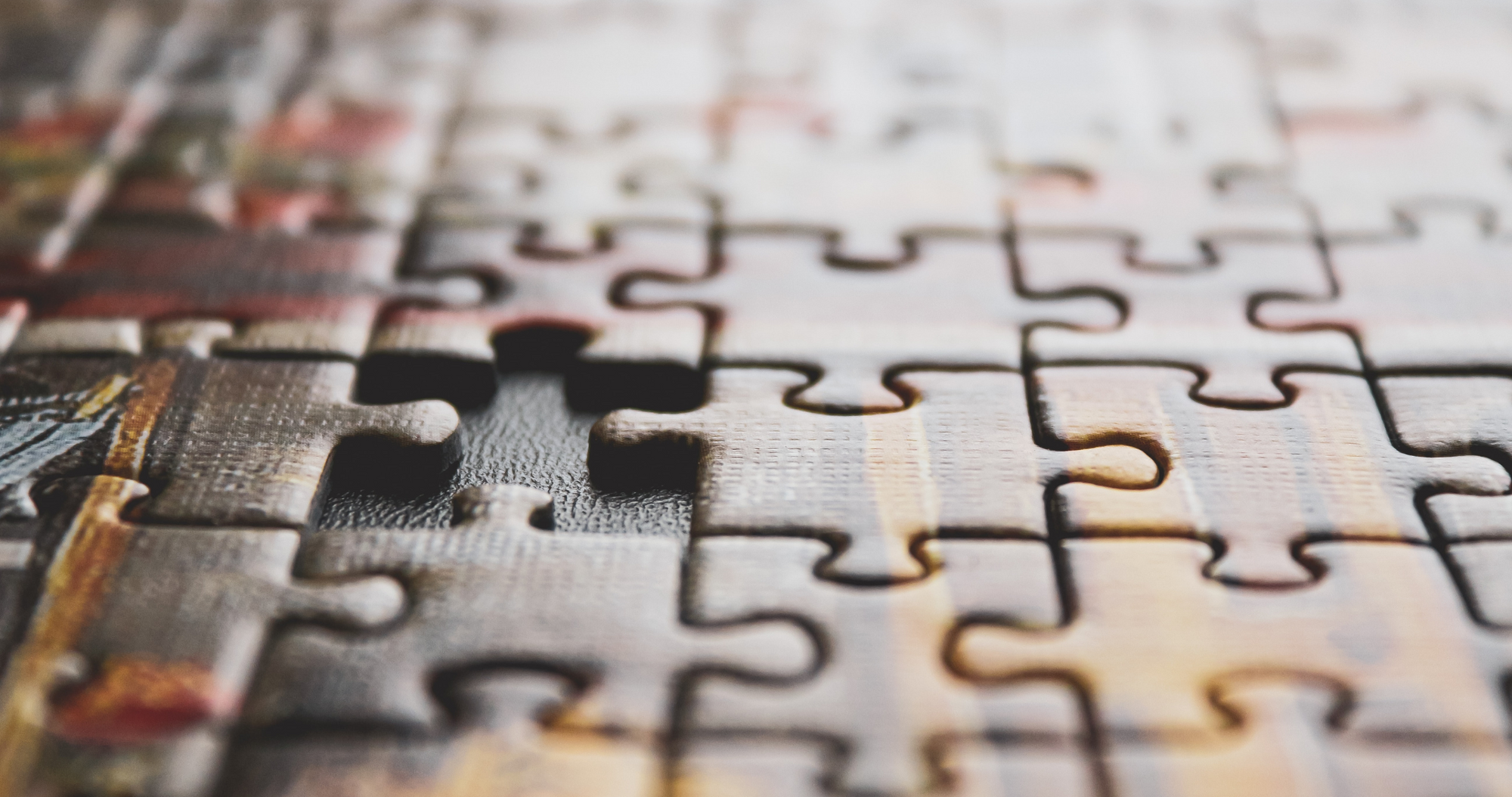 Interesting Facts About the Brain & Ways to Strengthen It